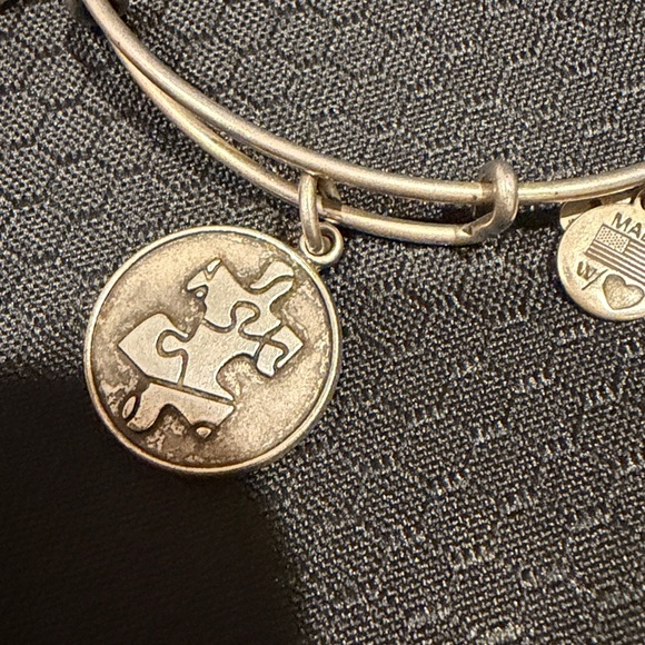 Alex and Ani autism bracelet in silver 2003 - Picture 6 of 7
